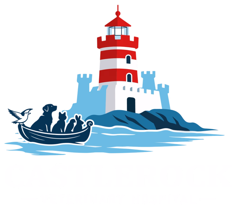 Castlerock Veterinary Hospital